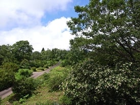 ちなみにロフト窓から妙高山側を眺めた景色です。雲で妙高山が見えないのが残念ですが、素晴らしい自然環境です。